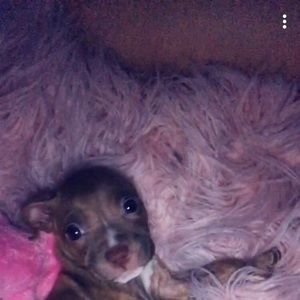 Meet your Posher, Danielle